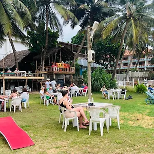 https://honey-beach-negombo.negombohotels.net